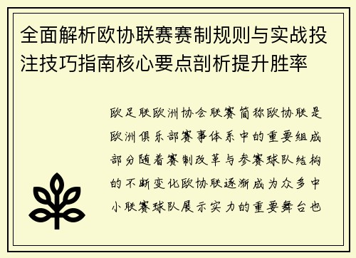 全面解析欧协联赛赛制规则与实战投注技巧指南核心要点剖析提升胜率